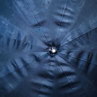 Parapactum®